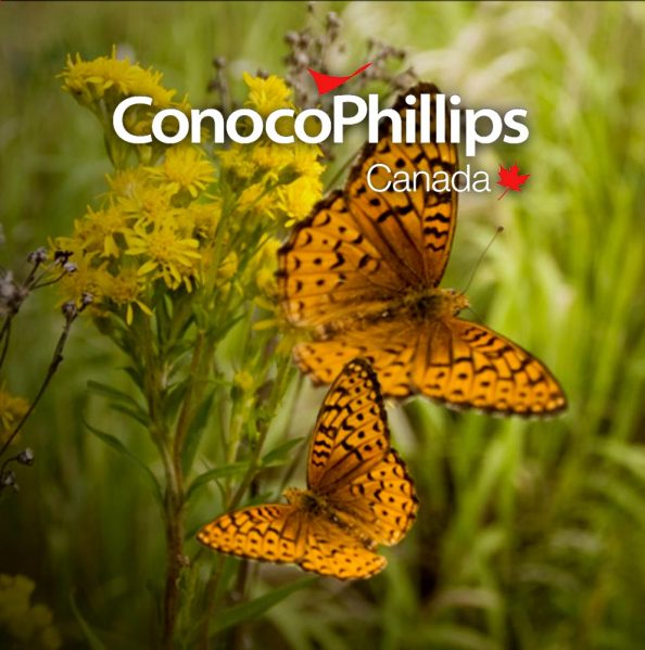 cpcsustainability.com