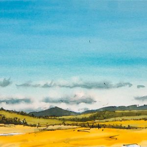 End Of Spring - 2012 - 11x30