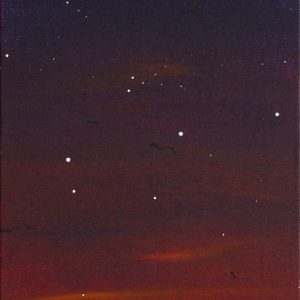 Evening Pause - 2011 - 36x12