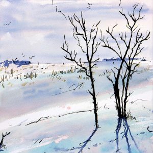 Fox Run - 2010 - 15x11