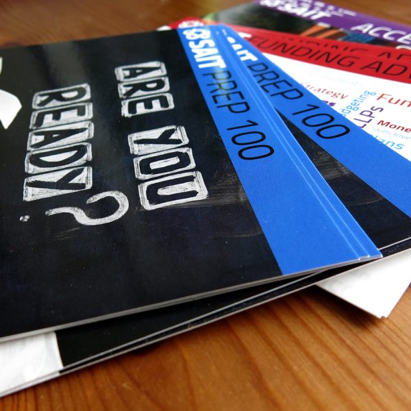 Lamb Learner Success Centre Info Cards