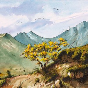 Near Grotto Canyon - 2010 - 11x15