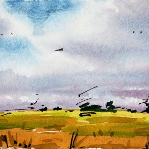 Prairie Beauty - 2009 - 5x7.5