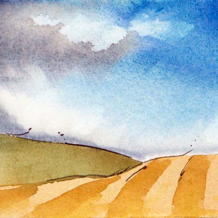 Rolling Rows - 2009 - 5x7.5