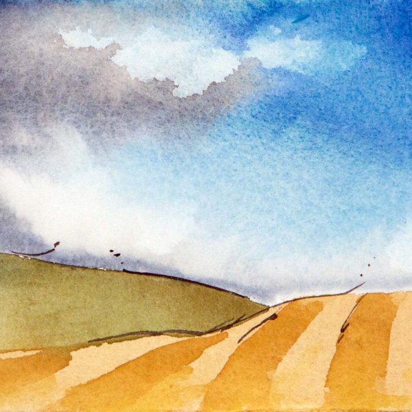 Rolling Rows - 2009 - 5x7.5