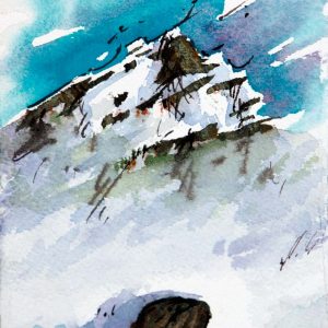 Survival - 2009 - 5.5x3.75