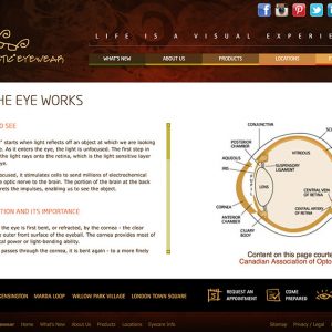 eyeclectic.ca