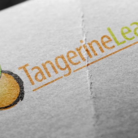 Tangerine Leaf Inc. Identity