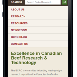 Beef Cattle Research Council Beef Cattle Research Council